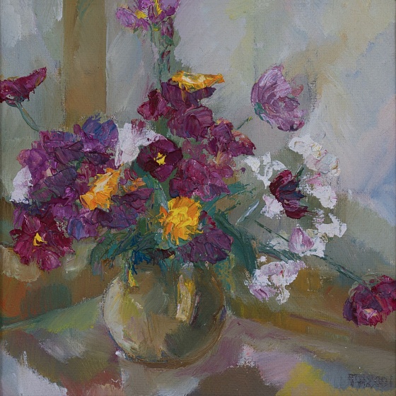 Garden. Daisies